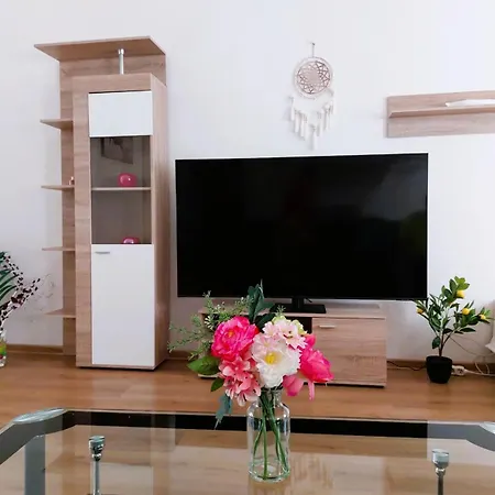 čsa #3# V Centru Appartement Hradec Králové